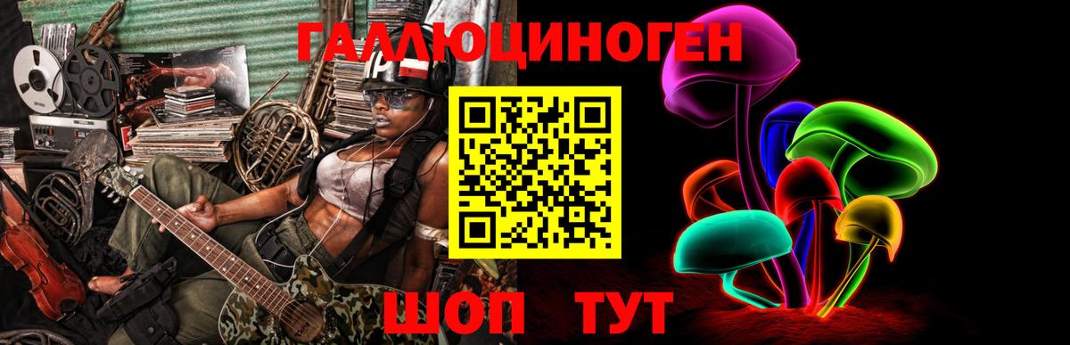 Черняховск  Псилоцибиновые грибы Magic Shrooms  закладка  Вход с VPN 